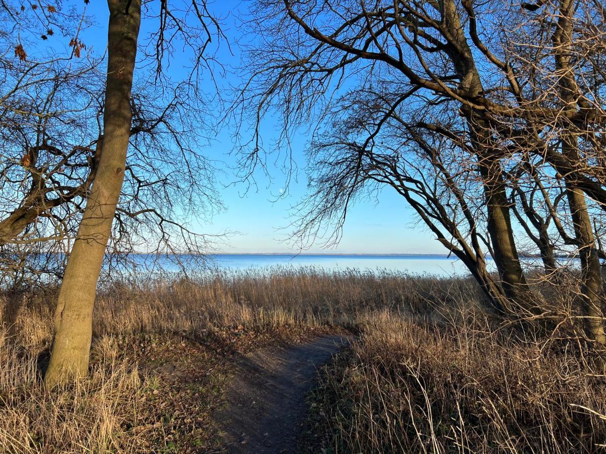 Reet Und Meer Beckerwitz Hohenkirchen  Extérieur photo