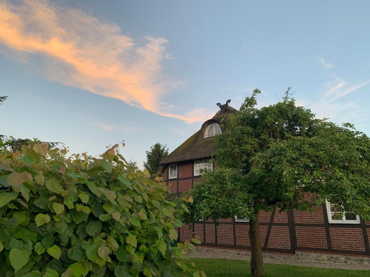 Reet Und Meer Beckerwitz Hohenkirchen  Extérieur photo