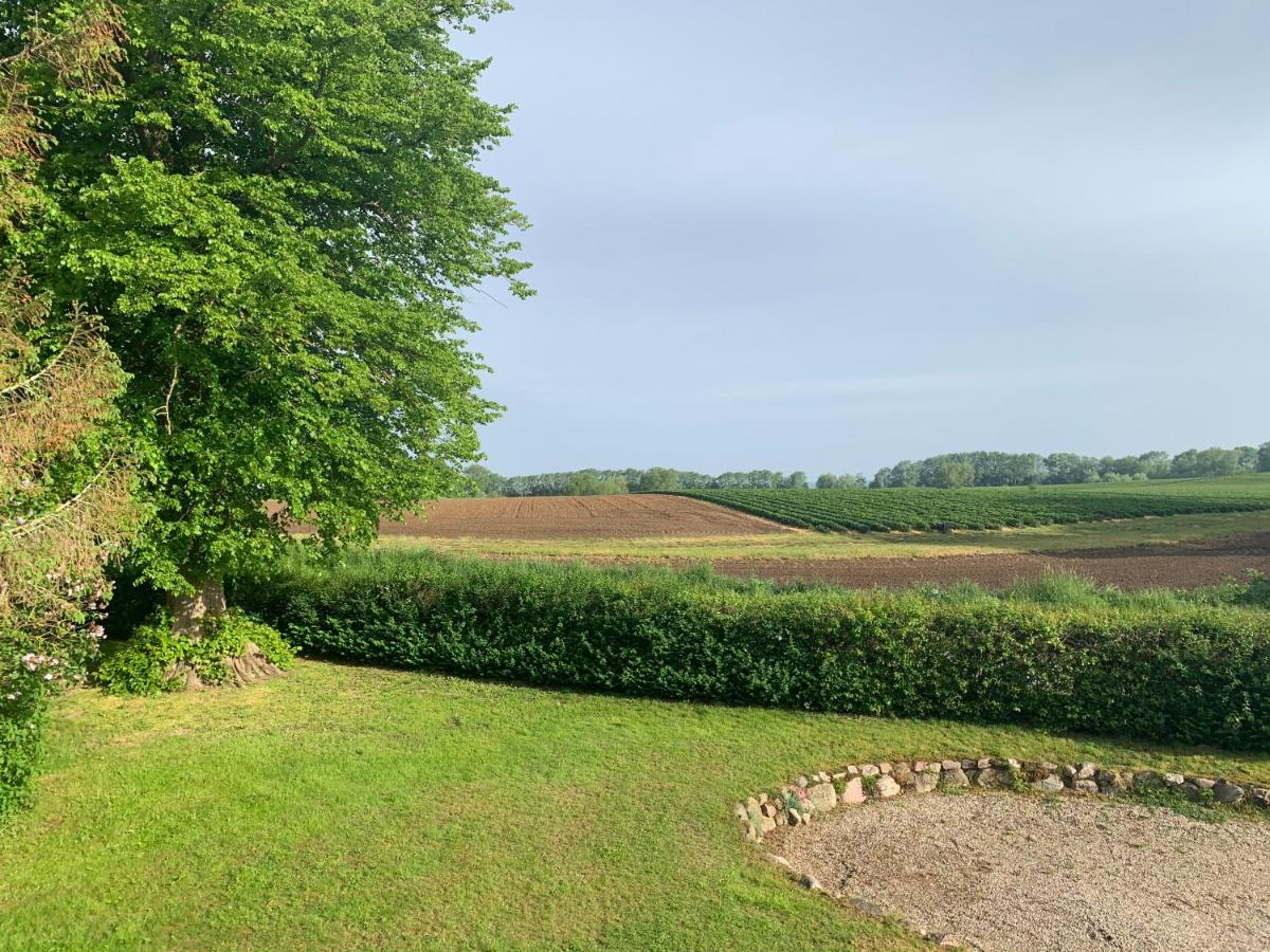 Reet Und Meer Beckerwitz Hohenkirchen  Extérieur photo